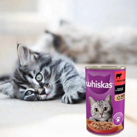 Whiskas Beef for Cats