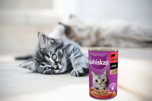 Whiskas Beef for Cats
